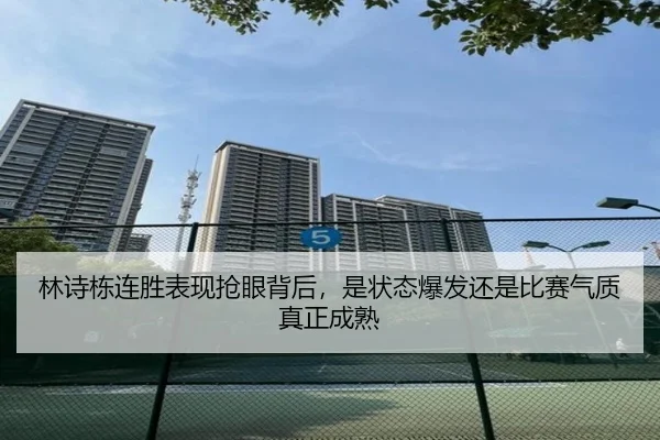 林诗栋连胜表现抢眼背后，是状态爆发还是比赛气质真正成熟 | leyu